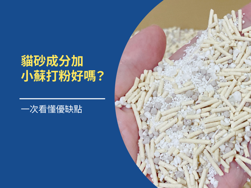 貓砂成分加小蘇打粉好嗎？
