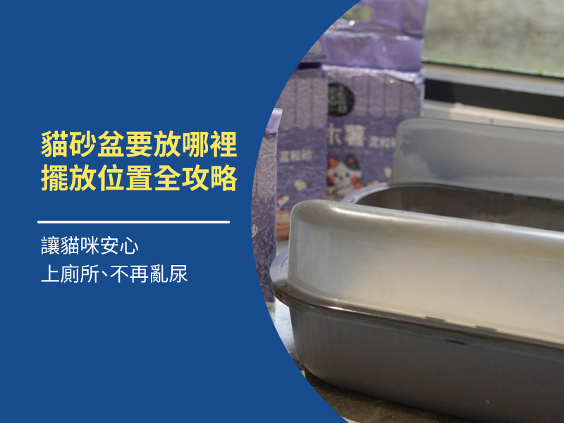 貓砂盆要放哪裡？