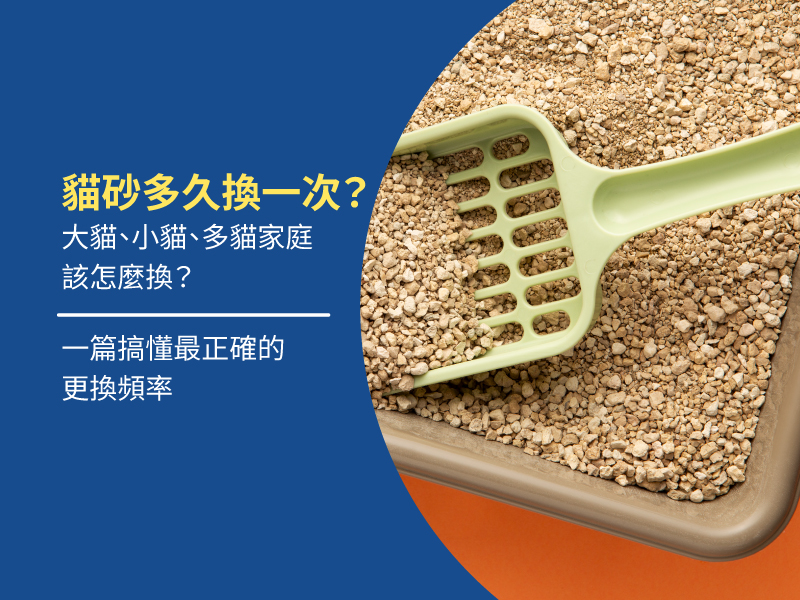 貓砂多久換一次？