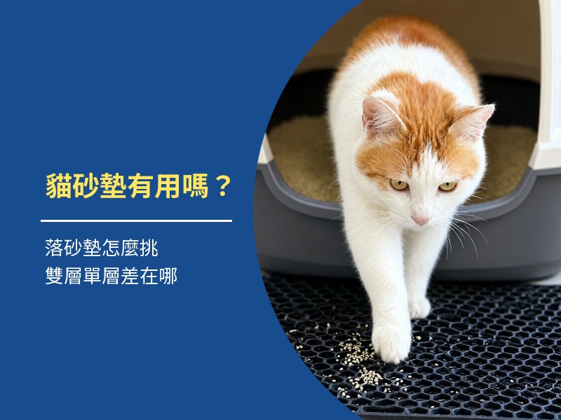 貓砂墊有用嗎?落砂墊怎麼挑,雙層單層差在哪