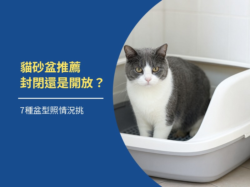 貓砂盆推薦:封閉式還是開放式?7種盆型照情況挑