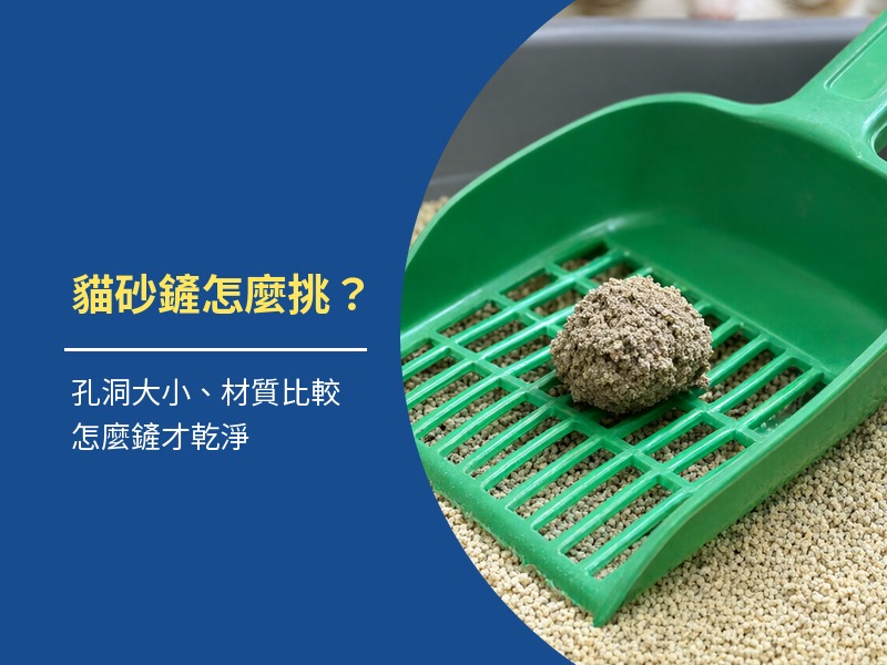 貓砂鏟怎麼挑？孔洞大小、材質與怎麼鏟才乾淨