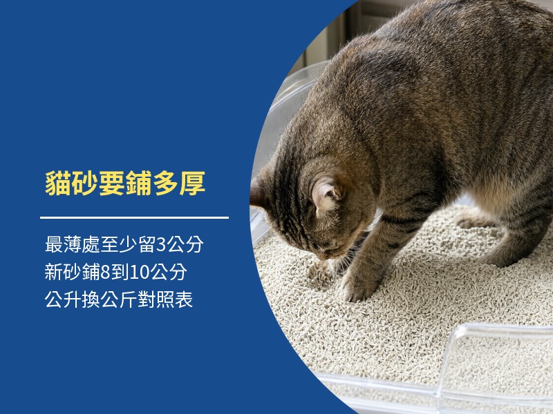 貓砂要鋪多厚？砂盆怎麼量＋7L是幾公斤換算表