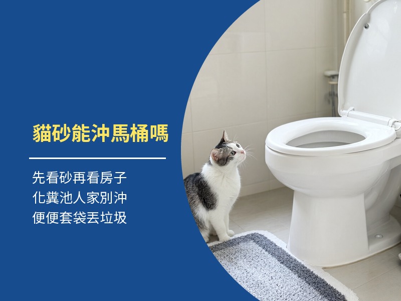 貓砂可以沖馬桶嗎？化糞池別沖，用過的貓砂怎麼丟