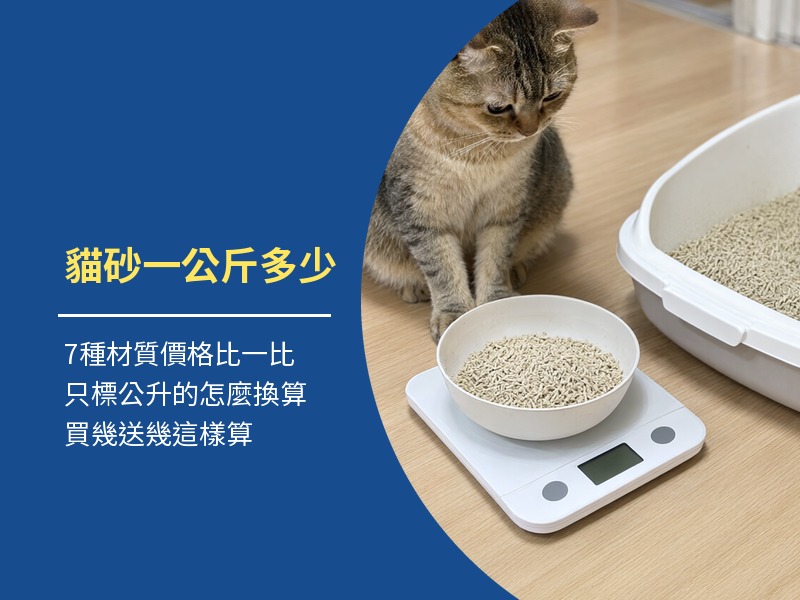 貓砂價格一公斤多少錢？7種材質行情與比價算法