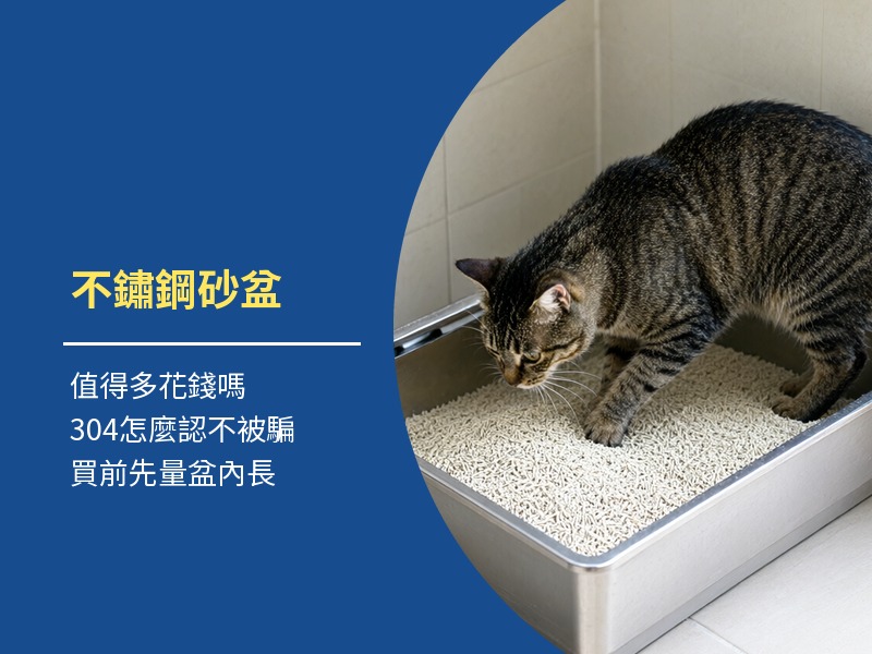 不鏽鋼貓砂盆好用嗎？優缺點與304怎麼認