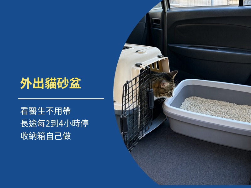 外出貓砂盆怎麼準備？長途開車、住宿與自製貓砂盆
