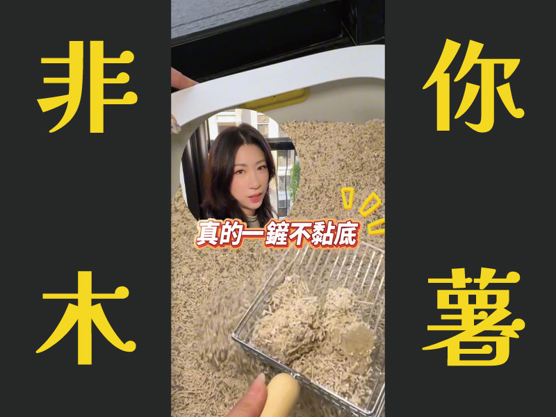 鏟屎很累?你只是沒用對貓砂
