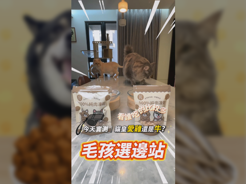 牛肉 vs 雞肉凍乾誰更香？