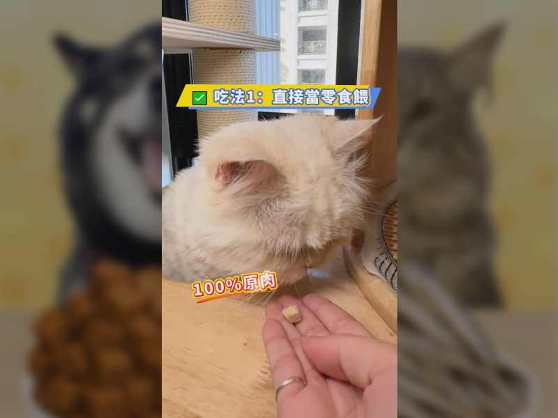 教你怎麼吃凍乾