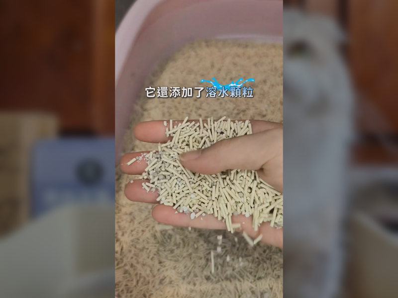 每天鏟貓砂最煩的是什麼?