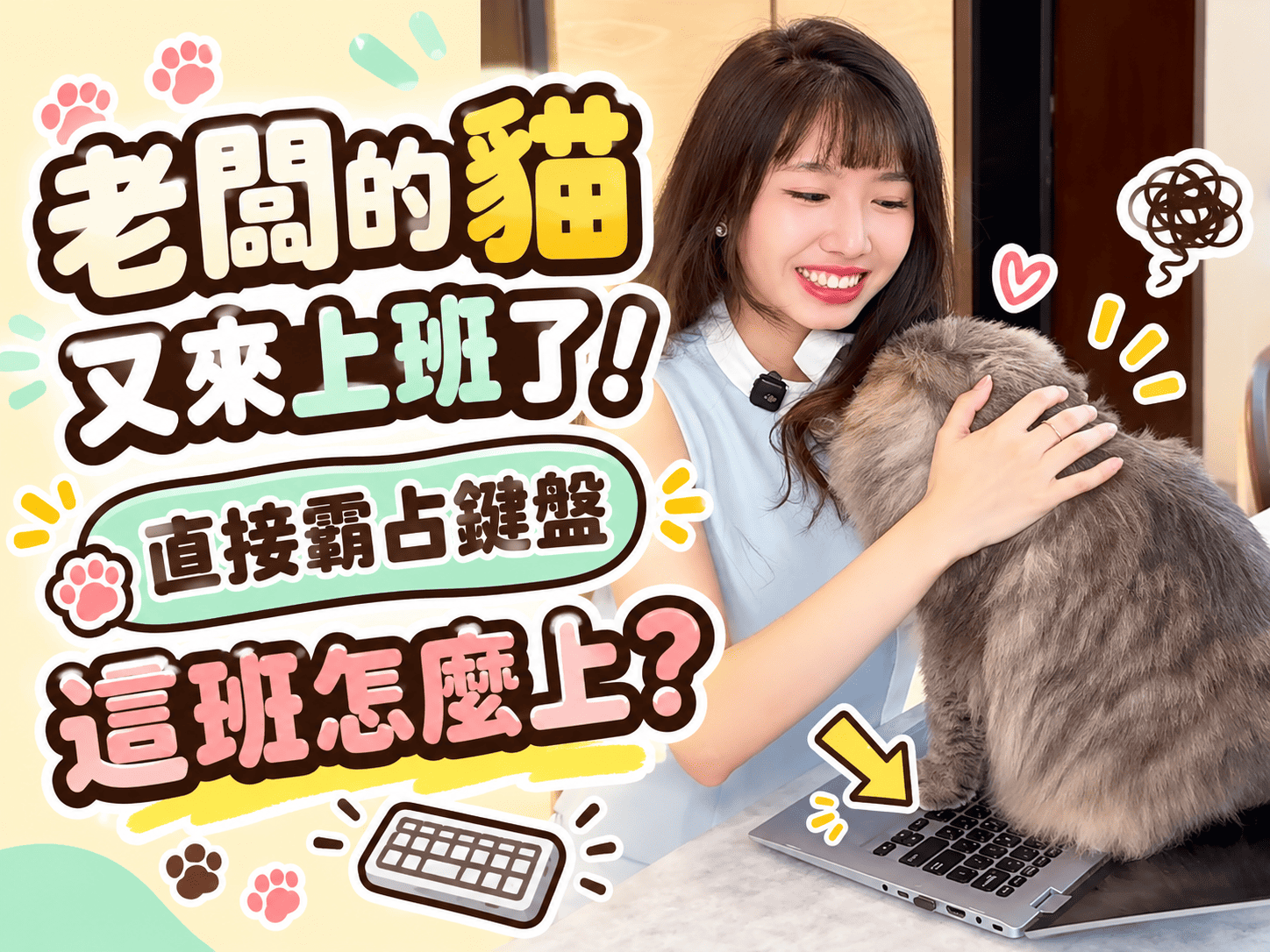 老闆的貓今天又來上班了！黑面森林的辦公室日常