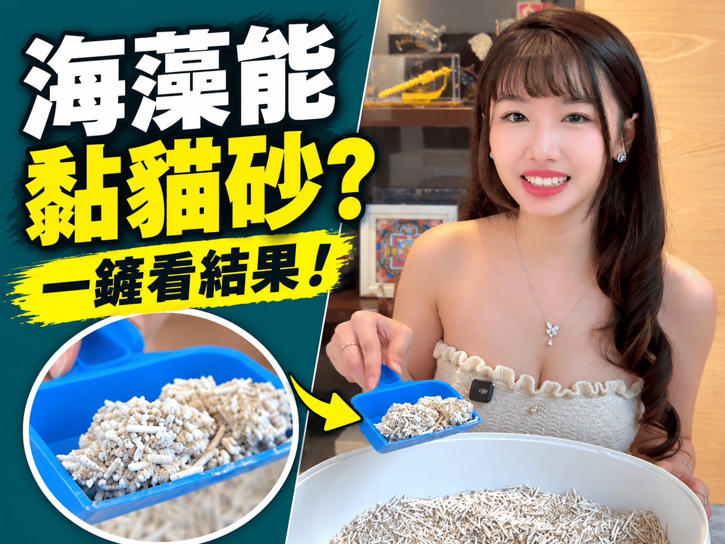 海藻居然能拿來黏貓砂？植感海藻木薯貓砂結團實測