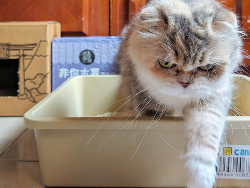 黃小花體驗 | 家長分享