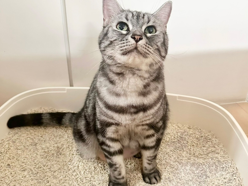 Miumiu體驗 | 家長分享