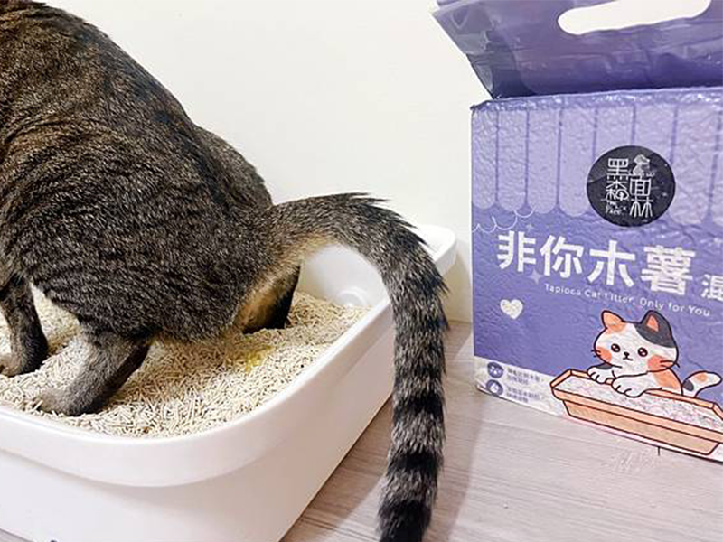 提格體驗 | 家長分享