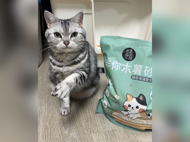 鏟屎官分享 | 植感海藻貓砂