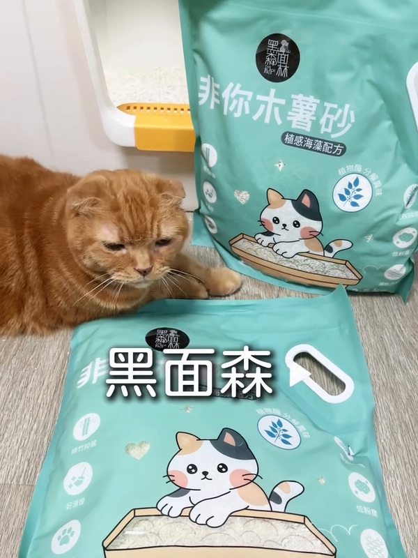 咪扣家的貓咪與黑面森林非你木薯砂