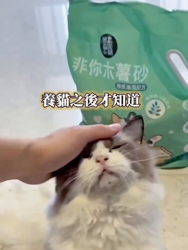 艾露與黑面森林非你木薯砂植感海藻配方