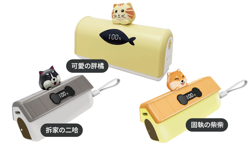口袋行動電源 (Type-C接頭)